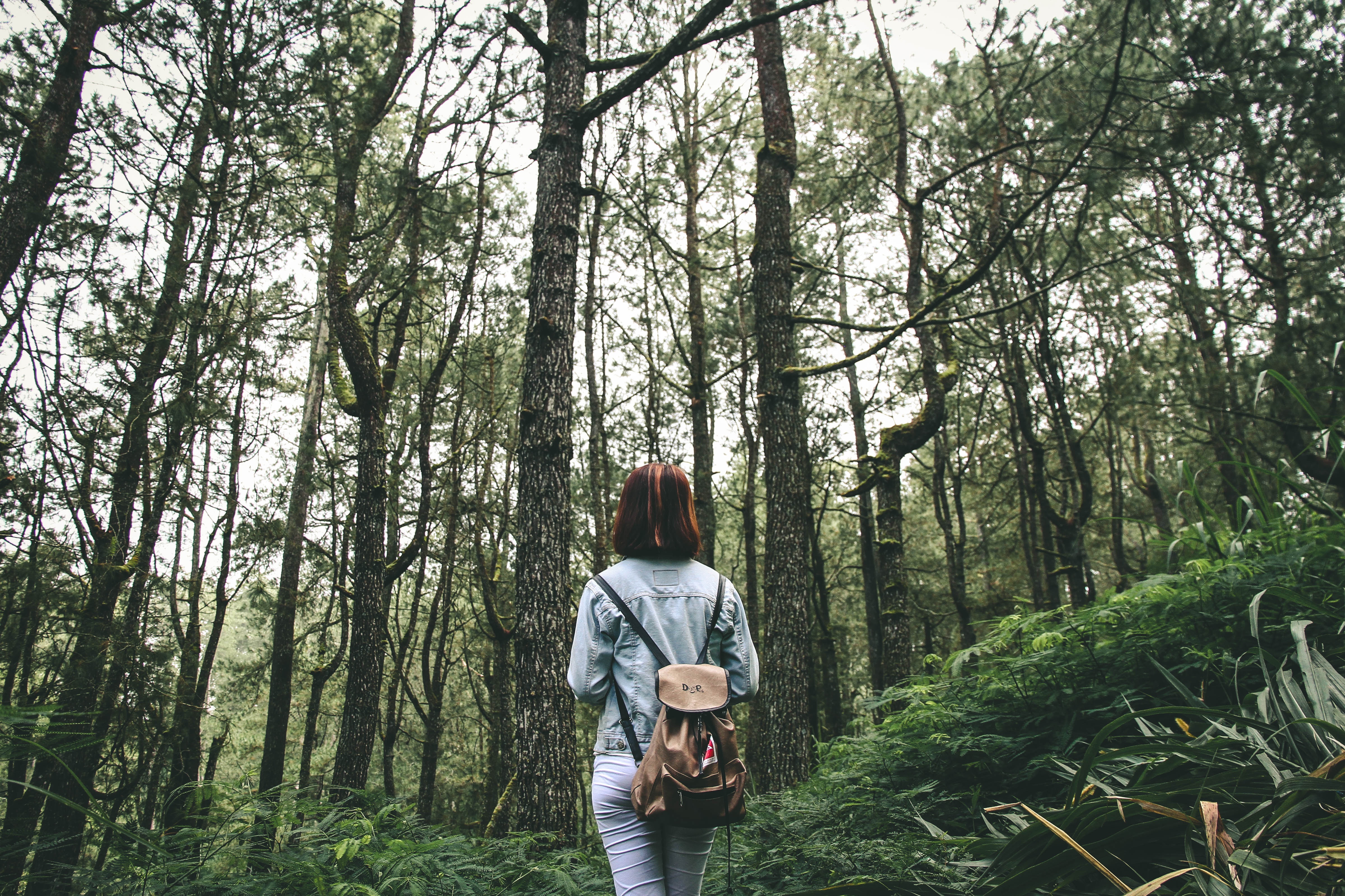 mujer de espaldas en mitad de un bosque con una mochila a la espalda